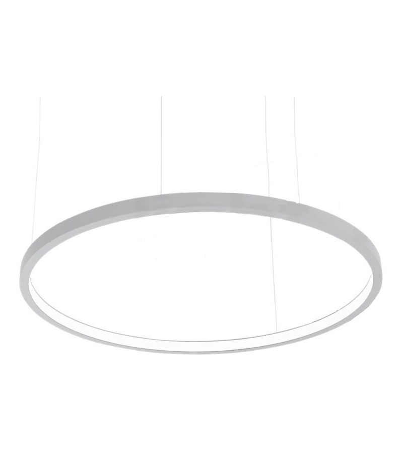 Loop Martinelli Luce Suspension