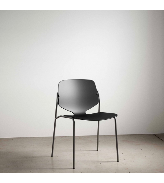 Nova Sea Mater Silla