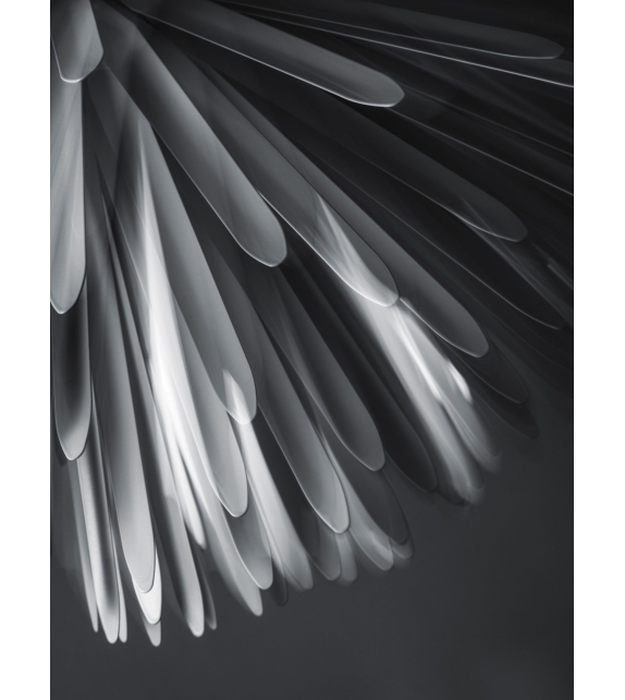 Sun - Light of Love Foscarini Lampada a Sospensione