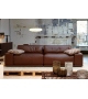Grand Angle Ligne Roset Sofa