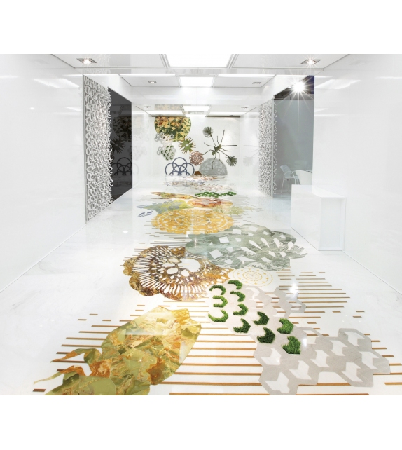 Macrosterias Budri Deckorative Platte