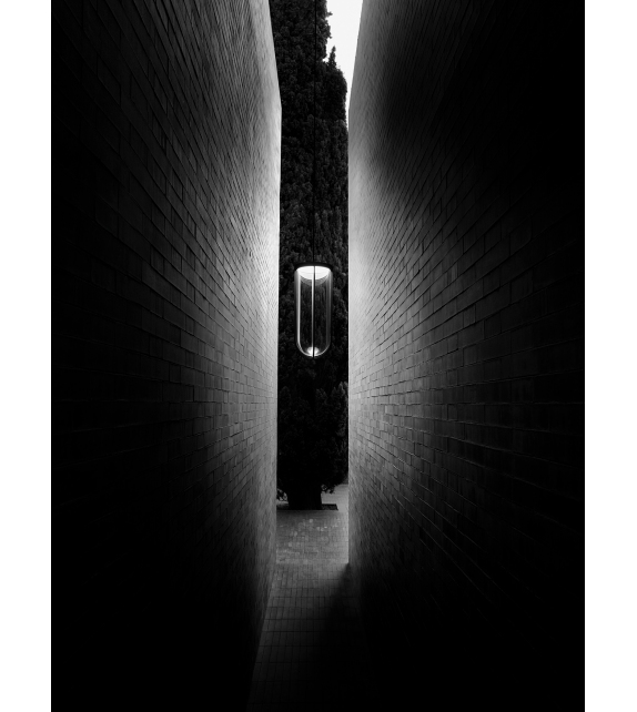 In Vitro Flos Lampada a Sospensione