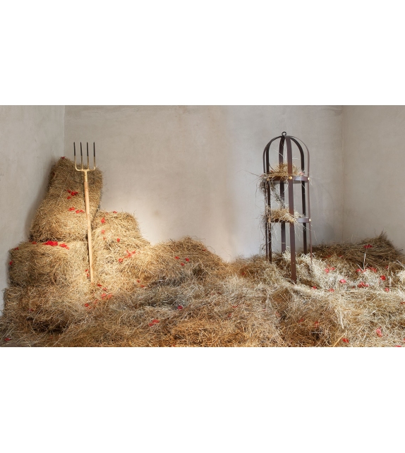 La Gabbia Opinion Ciatti Container