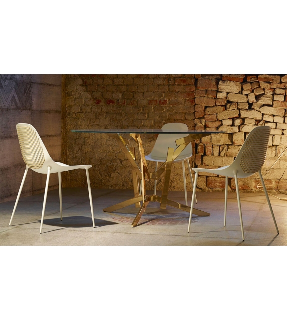 Mammamia Punk Opinion Ciatti Silla