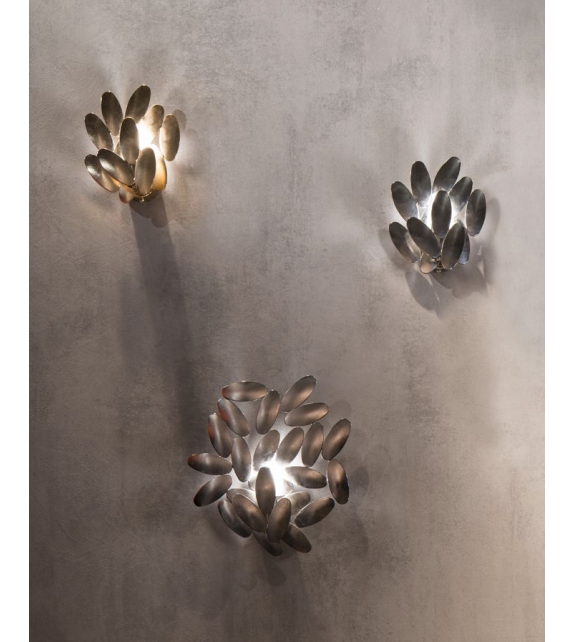 Foliae Opinion Ciatti Applique