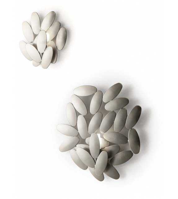 Foliae Opinion Ciatti Applique