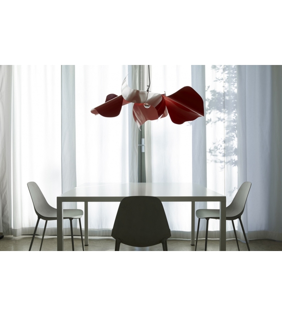 Papavero Raggiante Opinion Ciatti Suspension