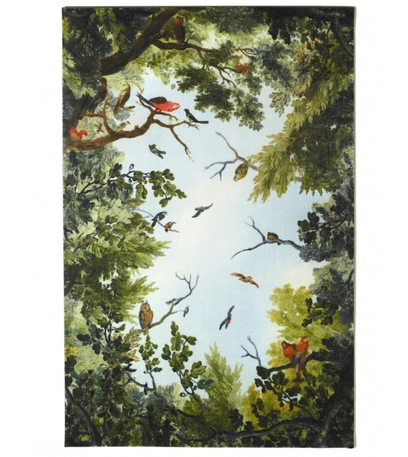 Cielo & Terra Opinion Ciatti Tapis