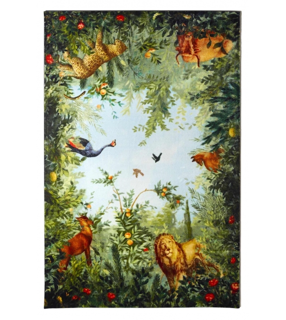 Cielo & Terra Opinion Ciatti Rug