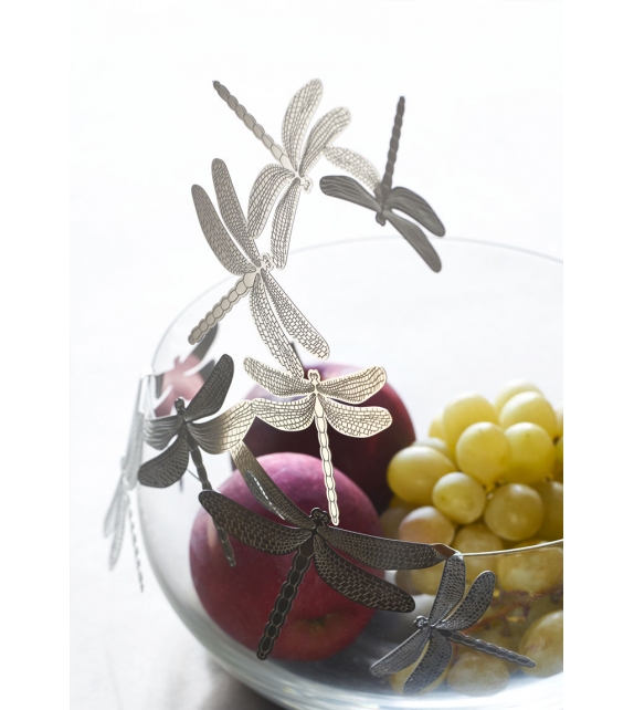 Frutteti Opinion Ciatti Bol