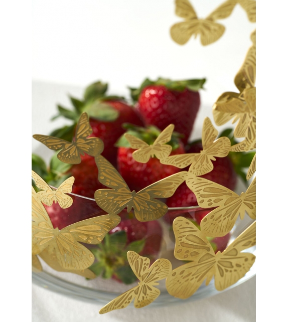 Frutteti Opinion Ciatti Bol