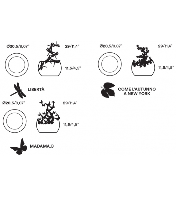 Frutteti Opinion Ciatti Bol