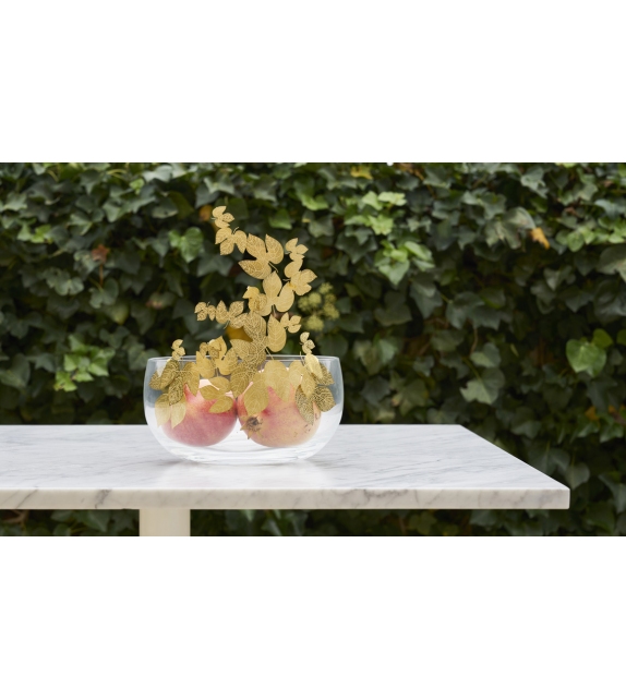 Frutteti Opinion Ciatti Bol