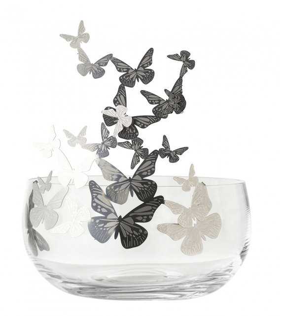 Frutteti Opinion Ciatti Cuenco