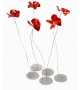Papavero Delicato Opinion Ciatti Table Decoration