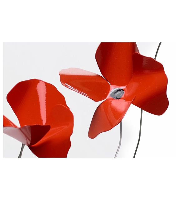 Papavero Delicato Opinion Ciatti Table Decoration