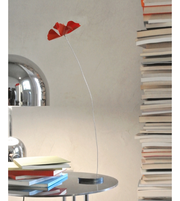 Papavero Delicato Opinion Ciatti Decoración de Mesa