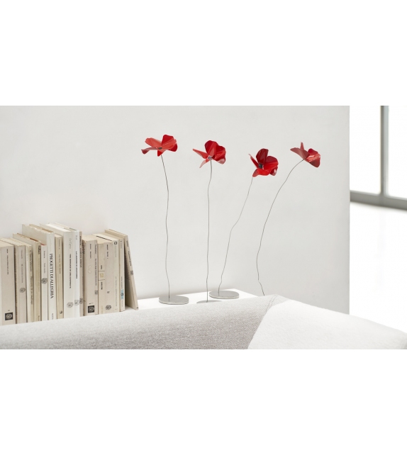 Papavero Delicato Opinion Ciatti Table Decoration