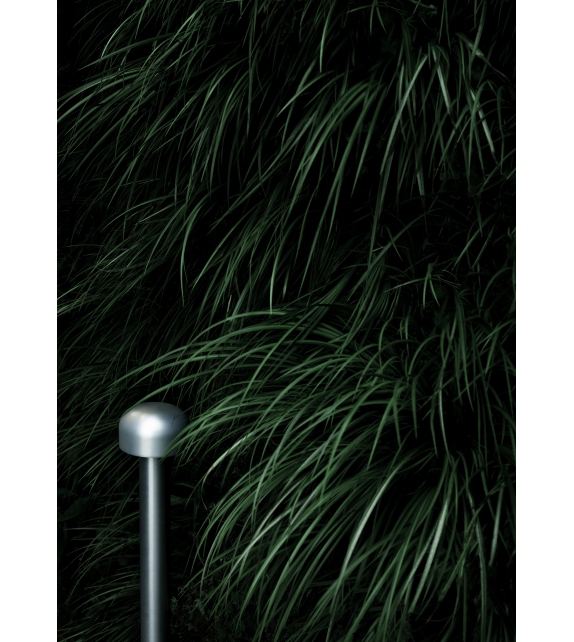 Bellhop Bollard Flos Stehleuchte