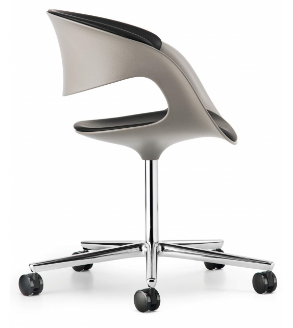 Lox Walter Knoll Sedia su Ruote