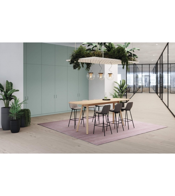 Legends of Carpets Walter Knoll Tappeto