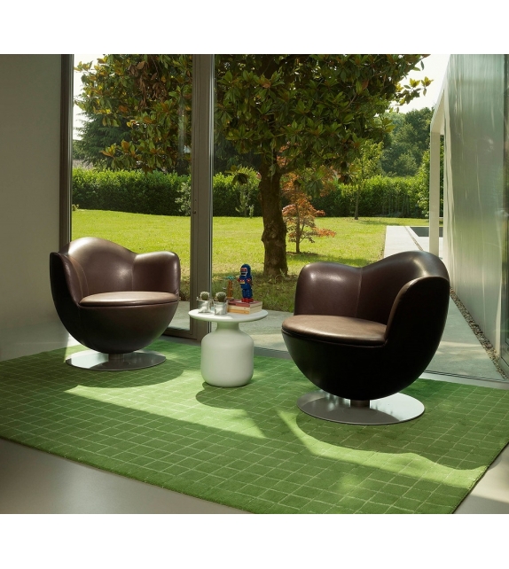 Dalia Sessel Cappellini