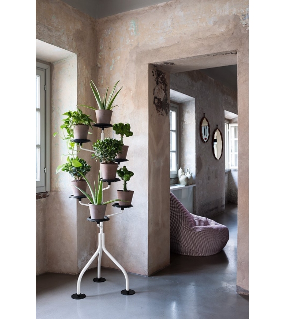 400 Albero Zanotta Plant Stand