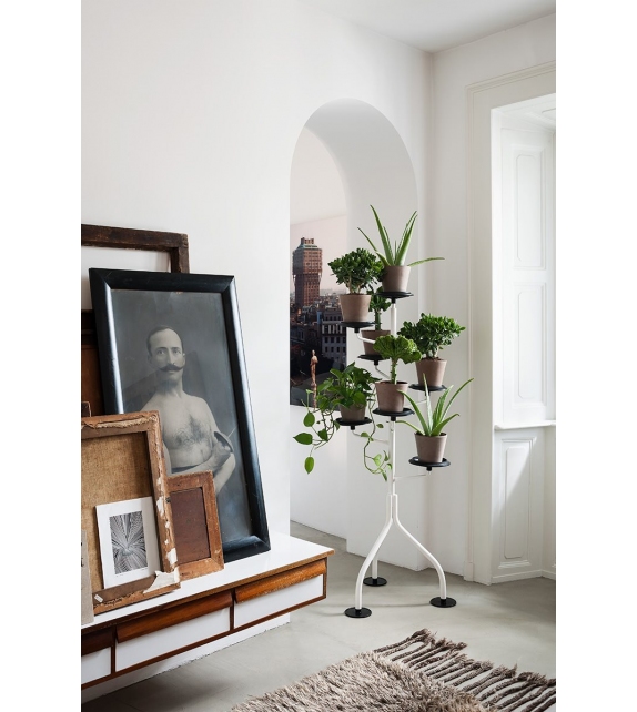 400 Albero Zanotta Blumenstand