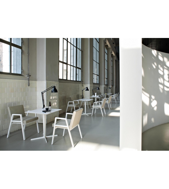 Babela Tacchini Sedia