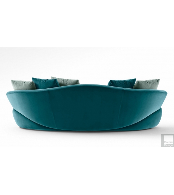 Solemyidae Giorgetti Canapé