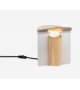 RF200 Petal Lamp Carl Hansen & Søn Tischlampe