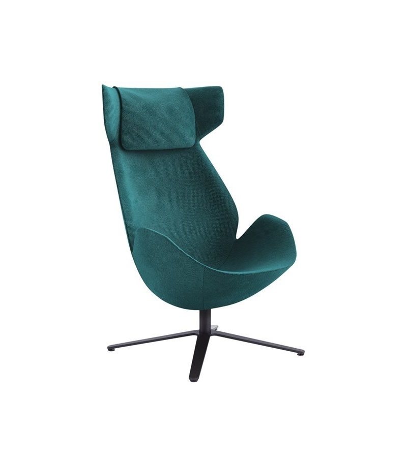 Shelter Tacchini Sessel