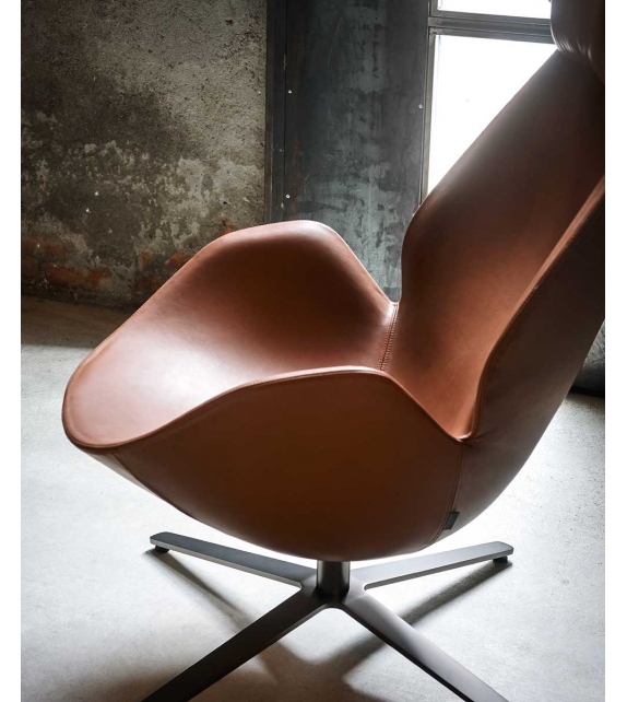 Shelter Tacchini Armchair