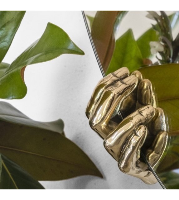 Selfie Mogg Specchio