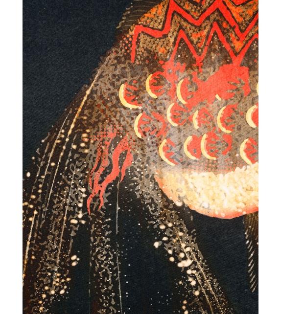 Nebula Poissons Tacchini Screen