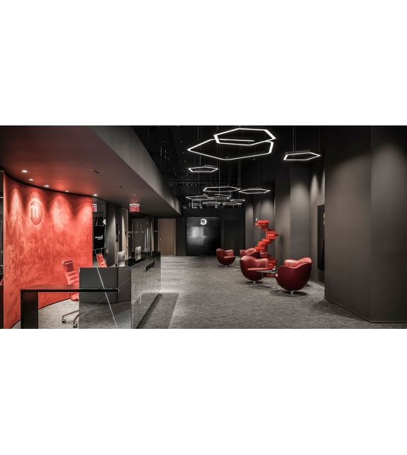 Dalia Sessel Cappellini