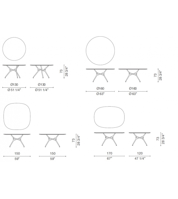 Branch Cappellini Table