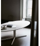 Split Tacchini Table