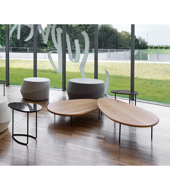 Lily Casamania & Horm Table Basse