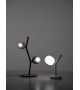Ivy Brokis Lampe de Table