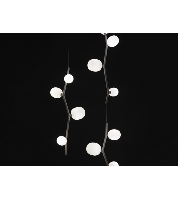 Ivy Brokis Suspension