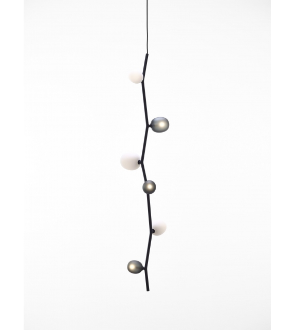 Ivy Brokis Suspension