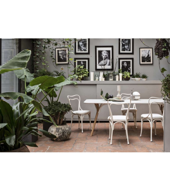 Loos Café Museum Gebrüder Thonet Vienna Sedia Imbottita