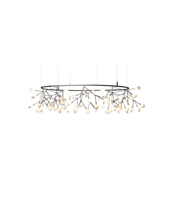 Heracleum III The Big O Suspension Moooi
