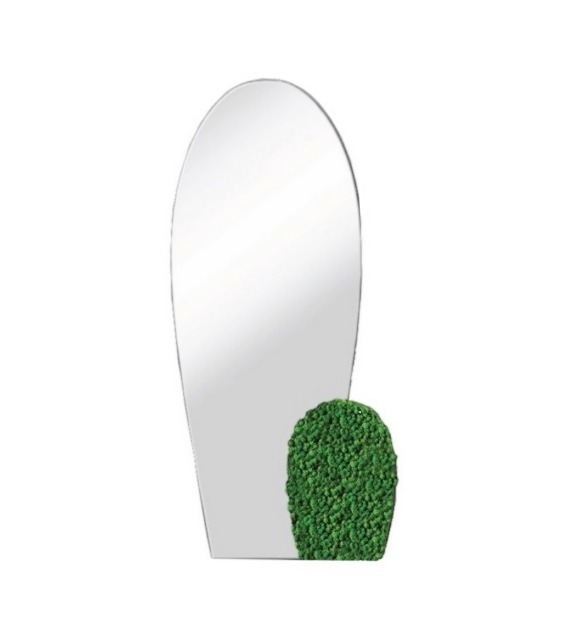 Ready for shipping - Cactus Bonaldo Mirror