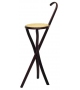 Stocksessel Gebrüder Thonet Vienna Folding Stool/Walking Stick
