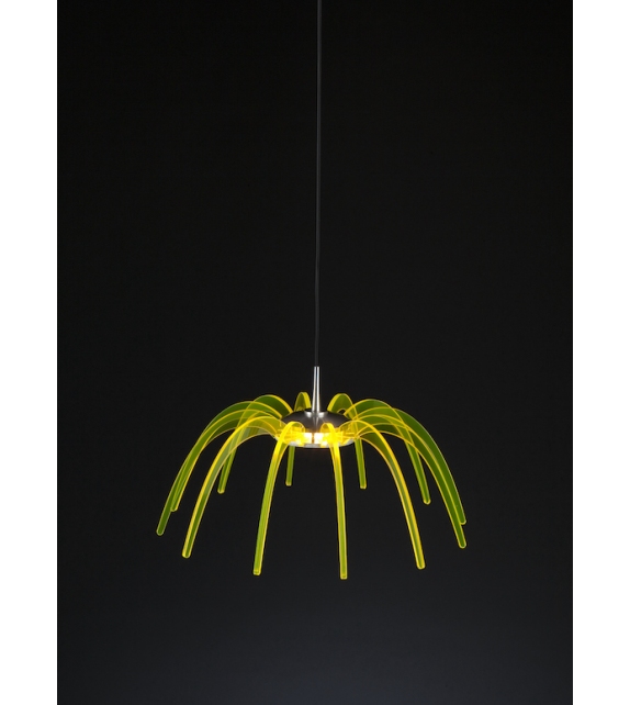 Spica 20 Quasar Pendant Lamp