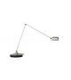 Daphine Cloe LED Lumina Table Lamp