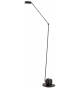 Daphine LED Lumina Floor Lamp