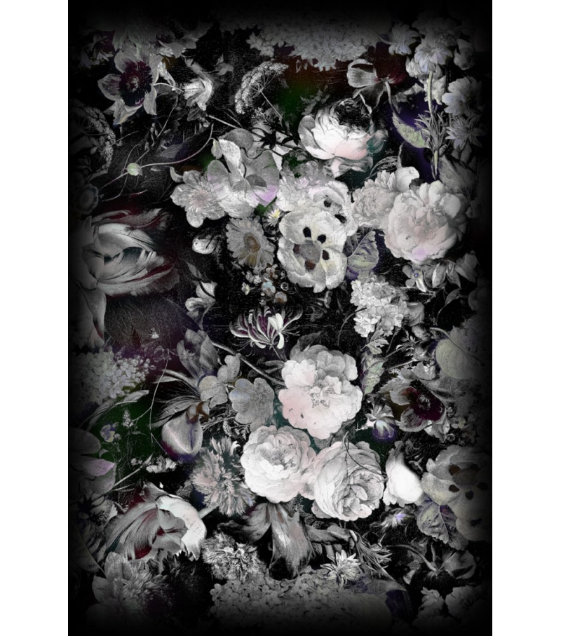 Eden Queen B&W Moooi Tapis